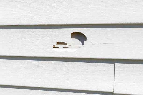 Reliable Virginia, MN Siding Solutions